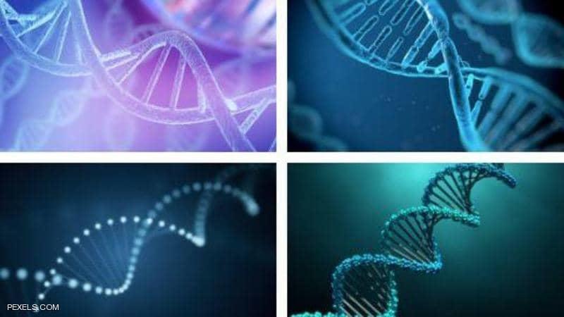 main image60f207c3a0f92