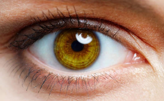 main image6100043034f7e