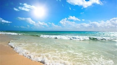 News T 606381 637659884262895964