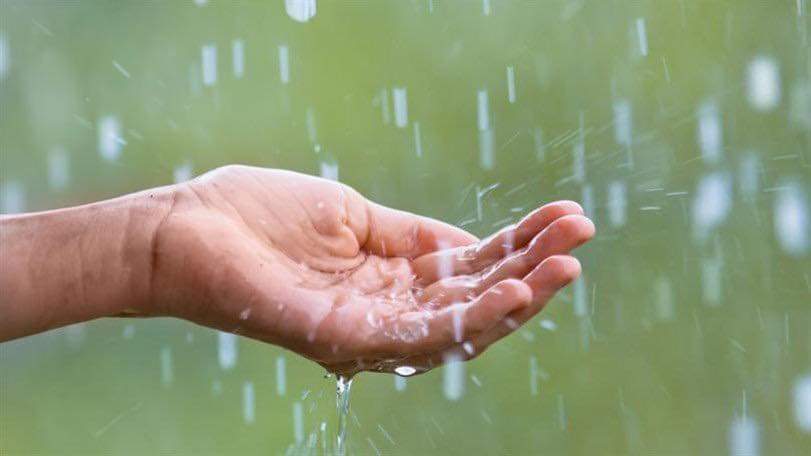 FB IMG 1632208532485