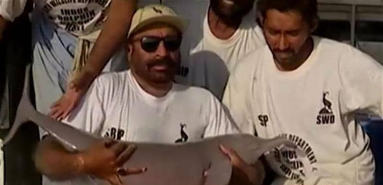 Doc P 884461 637720857616450254