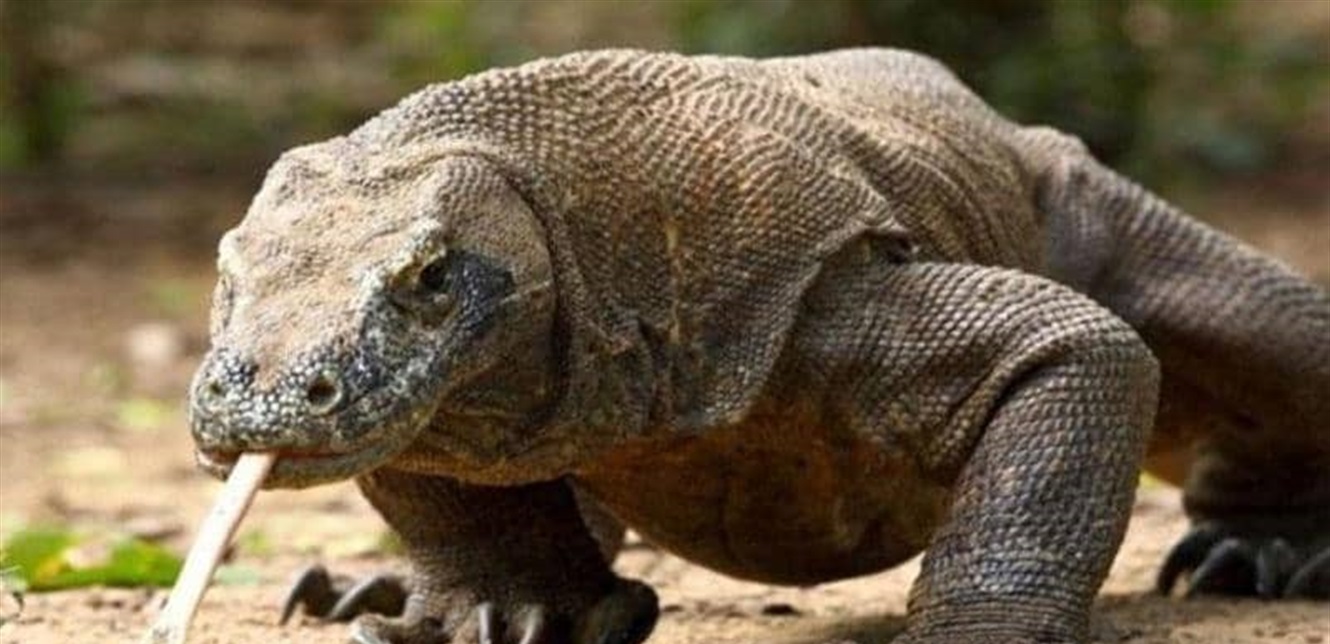 Doc P 884826 637721722814559363