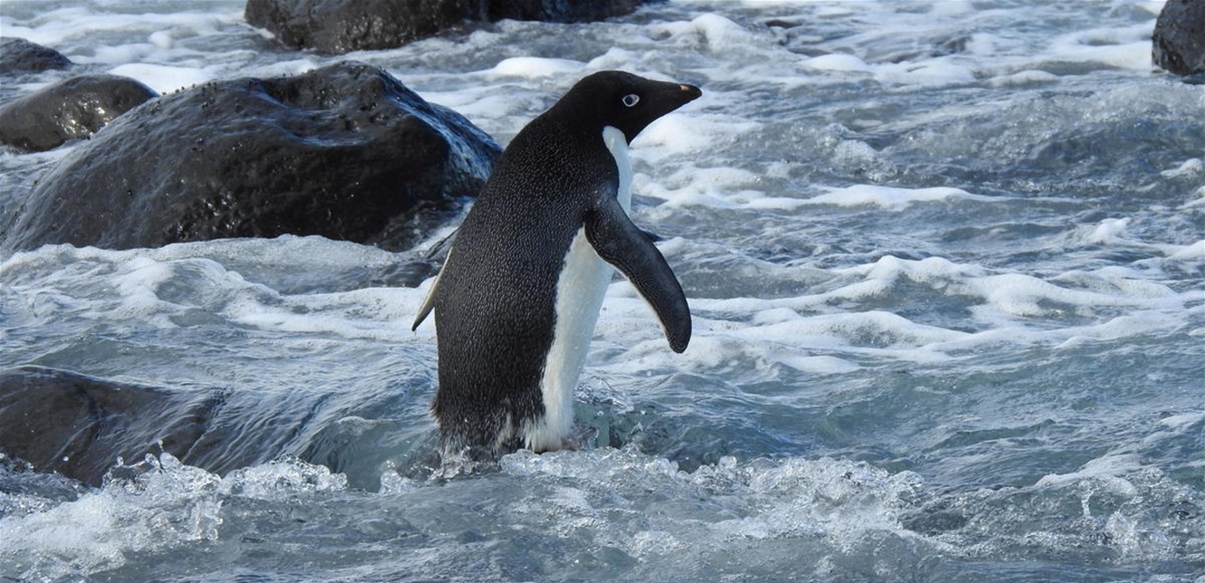 Doc P 886076 637724898321289242