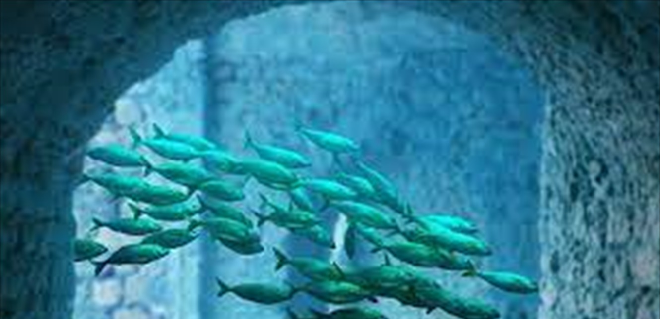 Doc P 887805 637729002107512849