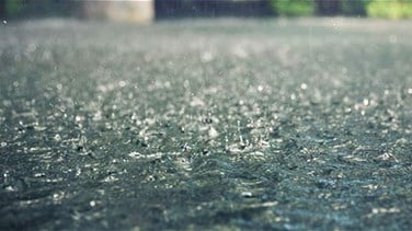 News T 615284 637713486114389888