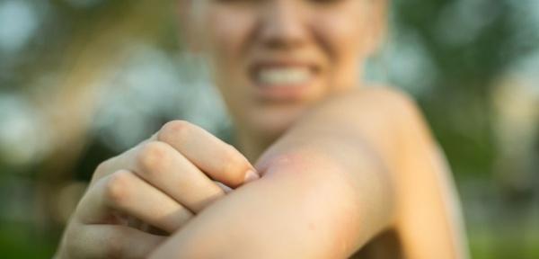 main image628e3bc10aef7