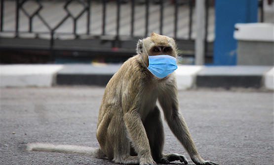 main image628fbe533f92b