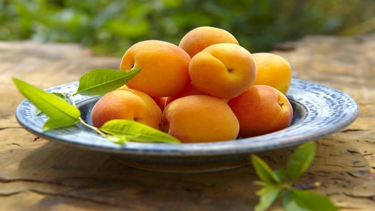 main image629529f293f35