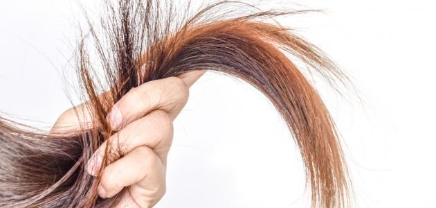 main image62b4117ab5cd2