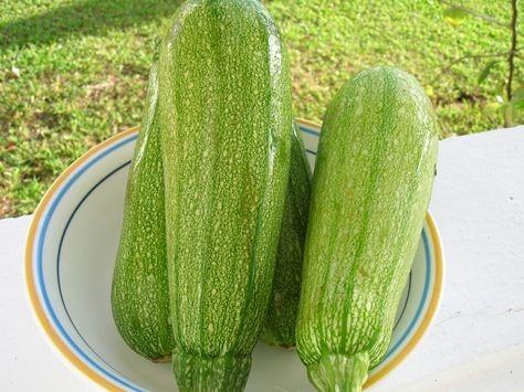 main image62ba2a8f6d5fb