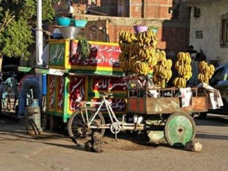 vegetable-cart