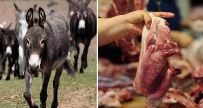 9999997845689745697864598764333333_لحم حمير