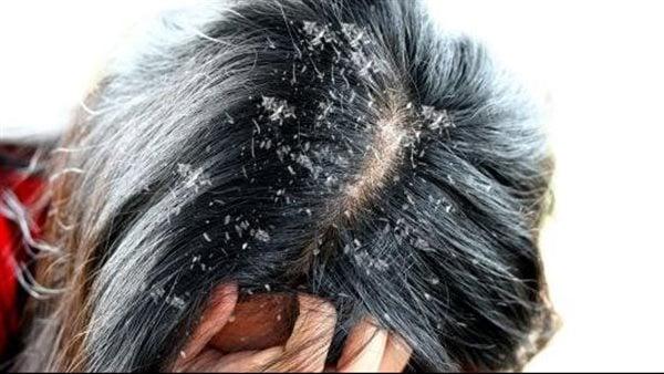 main image6383fdb758f3e