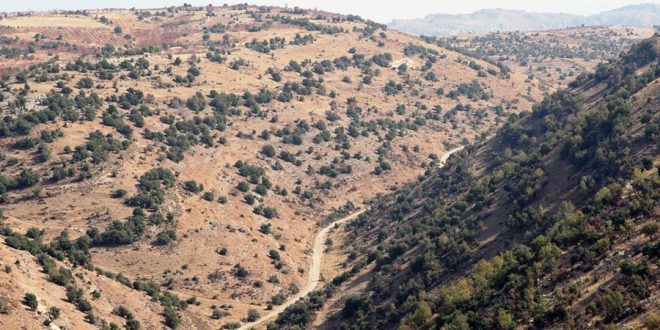 News, international, international scopes, intscopes, scopes, middle east news, latest news of Lebanon, news in Lebanon, news in Lebanon now, news of Lebanon, Lebanon, Lebanon News, Lebanon news today, Lebanon news now, Lebanon government news, Lebanon elections, Lebanon security situation, Lebanese banks, Lebanon economic crisis, Lebanon political crisis, Lebanon currency exchange rate, أخبار لبنان اليوم، اخبار لبنان اليوم عاجل، اخر اخبار لبنان، Lebanon today news, أخبار الحكومة اللبنانية، الوضع الأمني في لبنان، الأزمة السياسية في لبنان، Lebanon government news, Lebanon elections, Lebanon security situation, Lebanon political crisis, سعر صرف الدولار في لبنان، المصارف اللبنانية، الوضع الاقتصادي في لبنان، Lebanon currency exchange rate, Lebanese banks, Lebanon economic crisis, سكوبات، سكوبات عالمية، عالمية, int, int scopes, international, Lebanon, أخبار، أخبار لبنان، اخبار، اخبار Lebanon daily news,لبنان