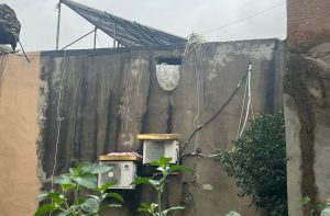 قوى الأمن الداخلي تطيح بعصابة سرقة مليون دولار من الذهب في صور 3 قوى الأمن الداخلي تطيح بعصابة سرقة مليون دولار من الذهب في صور 3