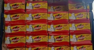 جمارك طرابلس تضبط كمية ضخمة من مرقة الدجاج الفاسدة والمهربة إلى الأسواق اللبنانية